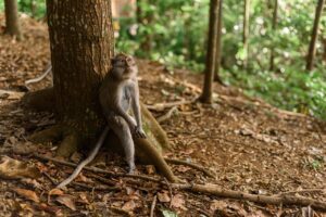 ご褒美旅行の予約方法はこれで決まり？