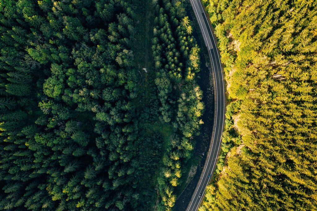 上質な旅行の評判は本当に良いの？