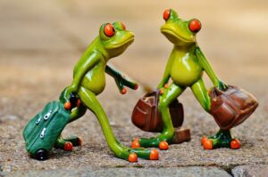 旅行の体験談を読むことで得られるリアルな情報とは？