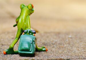 上質な時間を過ごすための旅行はどの口コミが参考になる？